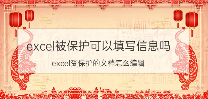 excel被保护可以填写信息吗 excel受保护的文档怎么编辑？